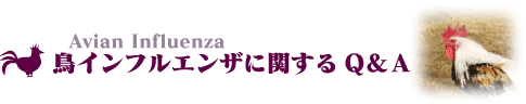 ���C���t���G���U