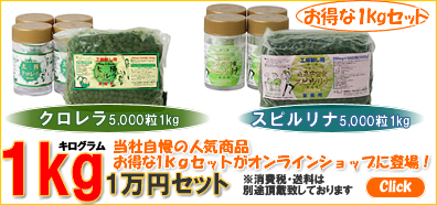 1kg�Z�b�g�i�N�������E�X�s�����i�j�̂��ē�