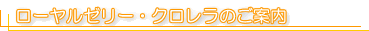 ���[�����[���[�E�N���������ē�