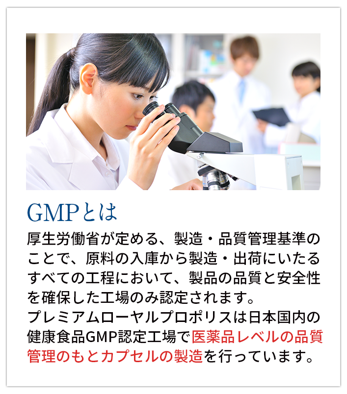 GMPとは