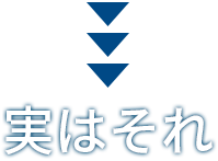 実はそれ